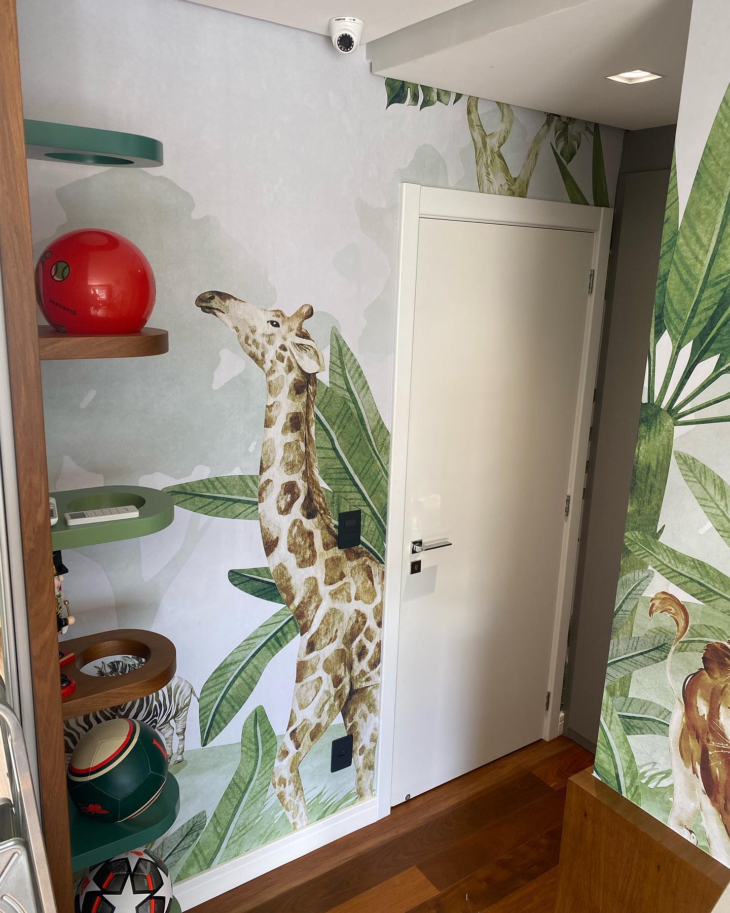 Quarto Safari